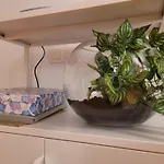El Atico De Julio Del Campo *