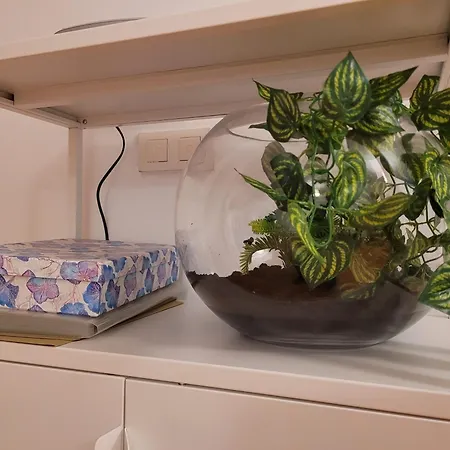 El Atico De Julio Del Campo *